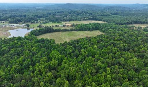 Photo #5 of 1920 NC Highway 42, Asheboro, NC 92.6 acres