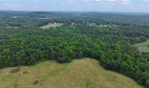 Photo #15 of 1920 NC Highway 42, Asheboro, NC 92.6 acres