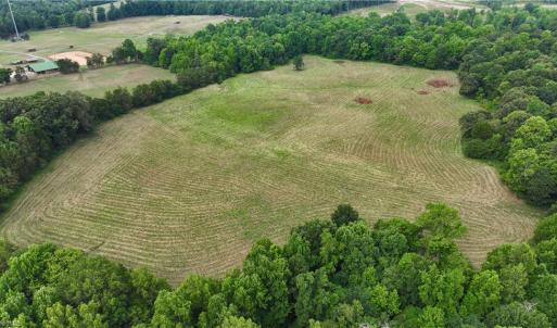 Photo #8 of 1920 NC Highway 42, Asheboro, NC 92.6 acres