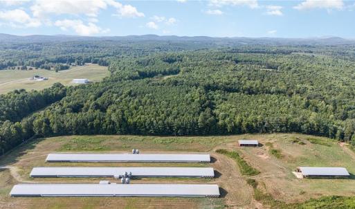 Photo #17 of Sagebrush, Denton, NC 11.9 acres