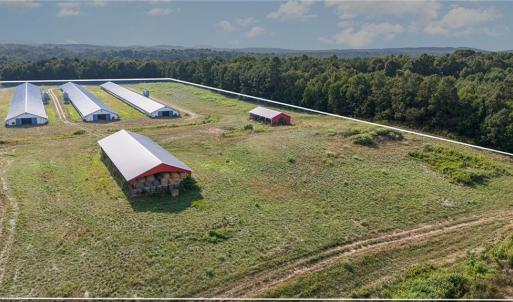 Photo #3 of Sagebrush, Denton, NC 11.9 acres