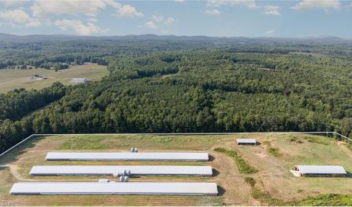 Photo #1 of Sagebrush, Denton, NC 11.9 acres
