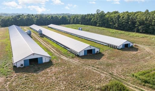 Photo #15 of Sagebrush, Denton, NC 11.9 acres