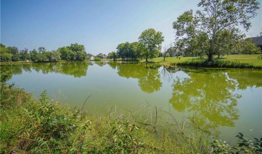 Photo #3 of 7712 NC Highway 68, Stokesdale, NC 31.0 acres