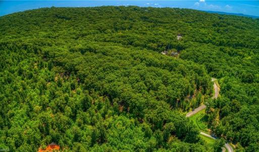 Photo #6 of 1228 Healing Springs, Denton, NC 1.6 acres