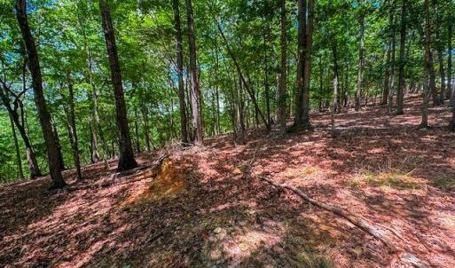 Photo #16 of 1228 Healing Springs, Denton, NC 1.6 acres