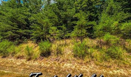 Photo #7 of 1228 Healing Springs, Denton, NC 1.6 acres