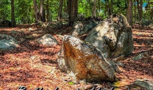Photo #9 of 1228 Healing Springs, Denton, NC 1.6 acres