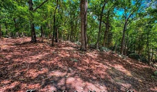 Photo #10 of 1228 Healing Springs, Denton, NC 1.6 acres