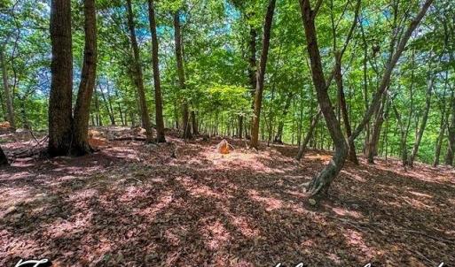 Photo #14 of 1228 Healing Springs, Denton, NC 1.6 acres