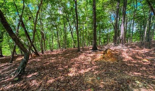Photo #15 of 1228 Healing Springs, Denton, NC 1.6 acres