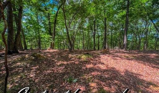Photo #11 of 1228 Healing Springs, Denton, NC 1.6 acres