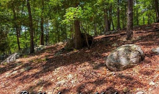 Photo #8 of 1228 Healing Springs, Denton, NC 1.6 acres