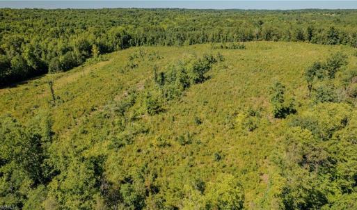 Photo #2 of Fitch, Yanceyville, NC 72.1 acres