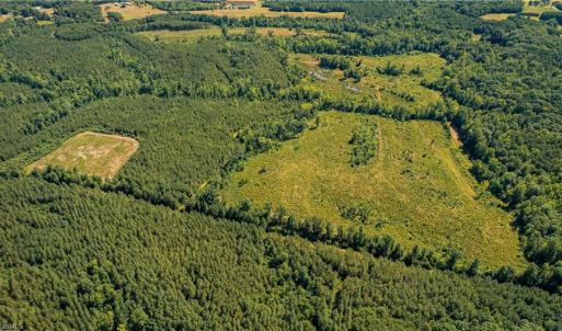 Photo #6 of Fitch, Yanceyville, NC 72.1 acres