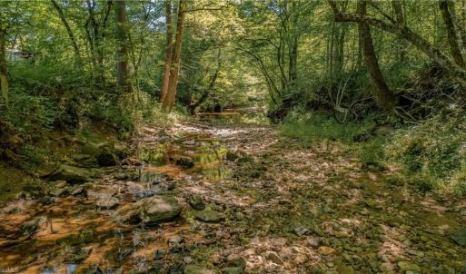 Photo #13 of Fitch, Yanceyville, NC 72.1 acres