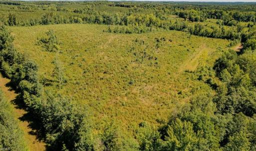 Photo #7 of Fitch, Yanceyville, NC 72.1 acres