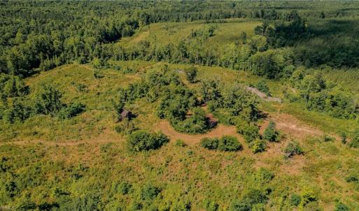 Photo #3 of Fitch, Yanceyville, NC 72.1 acres