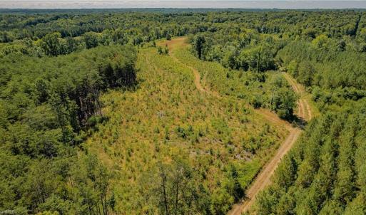 Photo #9 of Fitch, Yanceyville, NC 72.1 acres