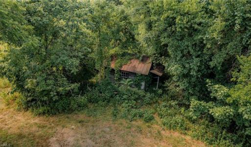 Photo #14 of Fitch, Yanceyville, NC 72.1 acres
