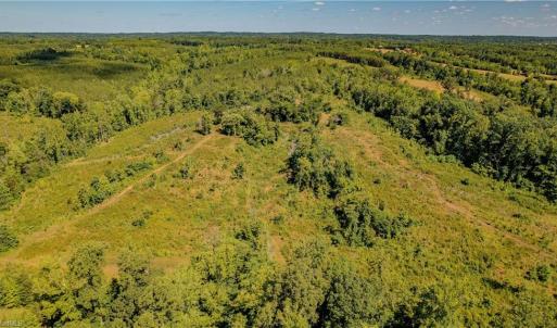 Photo #4 of Fitch, Yanceyville, NC 72.1 acres