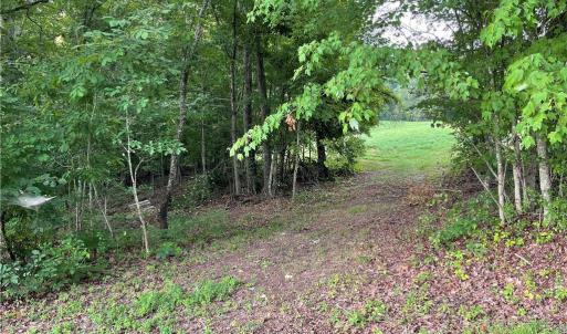 Photo #12 of 27.8 Rock Haven, King, NC 27.8 acres