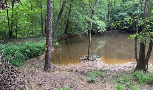 Photo #1 of 27.8 Rock Haven, King, NC 27.8 acres