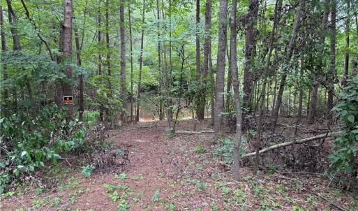 Photo #25 of 27.8 Rock Haven, King, NC 27.8 acres