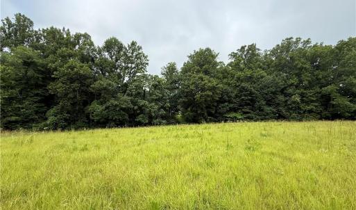 Photo #21 of 27.8 Rock Haven, King, NC 27.8 acres