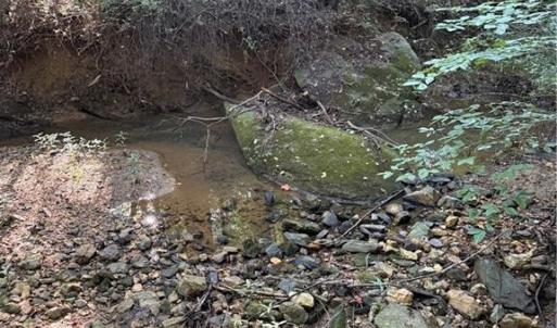 Photo #29 of 27.8 Rock Haven, King, NC 27.8 acres