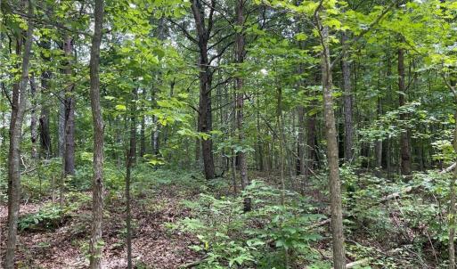 Photo #2 of LT 17 Old Mill, Providence, NC 5.0 acres
