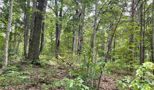 Photo #6 of LT 17 Old Mill, Providence, NC 5.0 acres