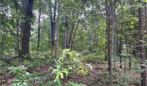 Photo #7 of LT 17 Old Mill, Providence, NC 5.0 acres