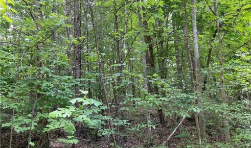 Photo #3 of LT 17 Old Mill, Providence, NC 5.0 acres