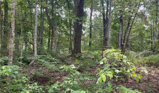 Photo #1 of LT 17 Old Mill, Providence, NC 5.0 acres