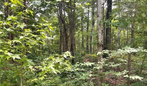 Photo #5 of LT 17 Old Mill, Providence, NC 5.0 acres
