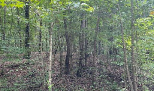 Photo #4 of LT 17 Old Mill, Providence, NC 5.0 acres
