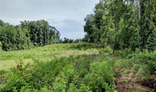 Photo #1 of NC Highway 135, Mayodan, NC 3.0 acres