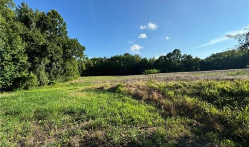 Photo #27 of Candy Creek, Reidsville, NC 110.6 acres