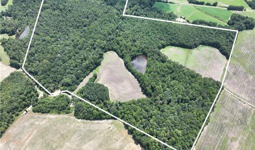 Photo #2 of Candy Creek, Reidsville, NC 110.6 acres