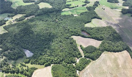 Photo #42 of Candy Creek, Reidsville, NC 110.6 acres