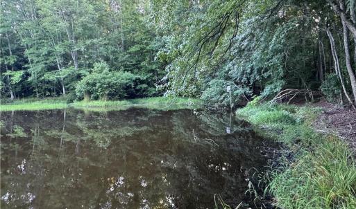 Photo #17 of Candy Creek, Reidsville, NC 110.6 acres