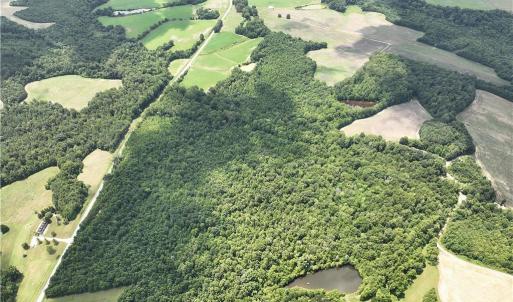 Photo #43 of Candy Creek, Reidsville, NC 110.6 acres