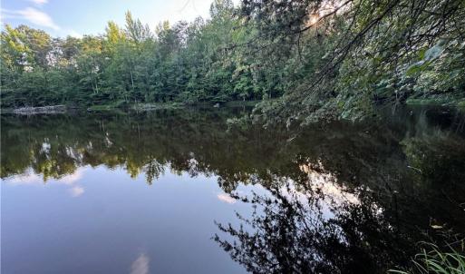 Photo #16 of Candy Creek, Reidsville, NC 110.6 acres