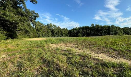 Photo #26 of Candy Creek, Reidsville, NC 110.6 acres