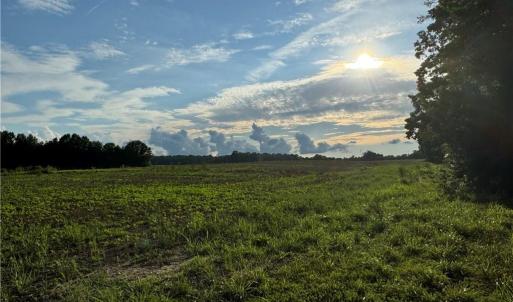 Photo #22 of Candy Creek, Reidsville, NC 110.6 acres