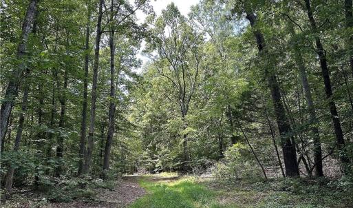 Photo #32 of Candy Creek, Reidsville, NC 110.6 acres