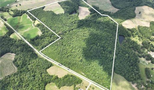 Photo #1 of Candy Creek, Reidsville, NC 110.6 acres