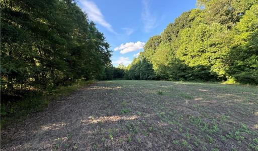 Photo #28 of Candy Creek, Reidsville, NC 110.6 acres