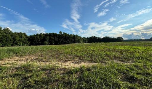 Photo #24 of Candy Creek, Reidsville, NC 110.6 acres